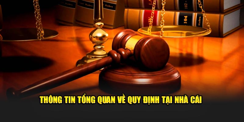Thông tin tổng quan về quy định tại hệ thống