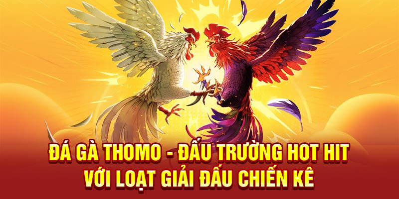 Đá Gà Thomo - Đấu Trường Hot Hit Với Loạt Giải Đấu Chiến Kê