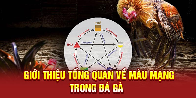 Giới thiệu tổng quan về màu mạng trong đá gà