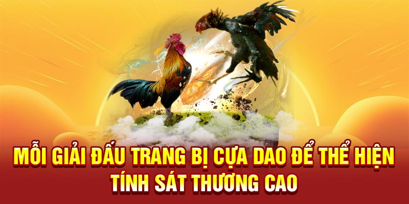 Mỗi giải đấu trang bị cựa dao để thể hiện tính sát thương cao
