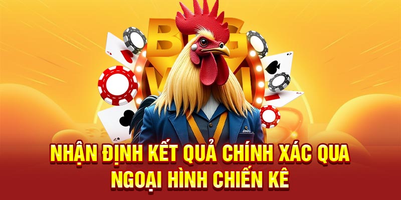 Xác định kết quả qua ngoại hình chiến kê tham gia trận
