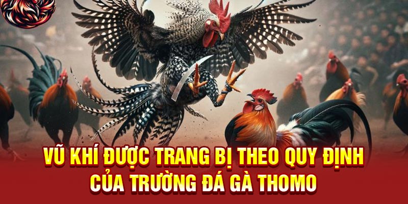 Vũ khí được trang bị theo quy định của trường đá gà Thomo